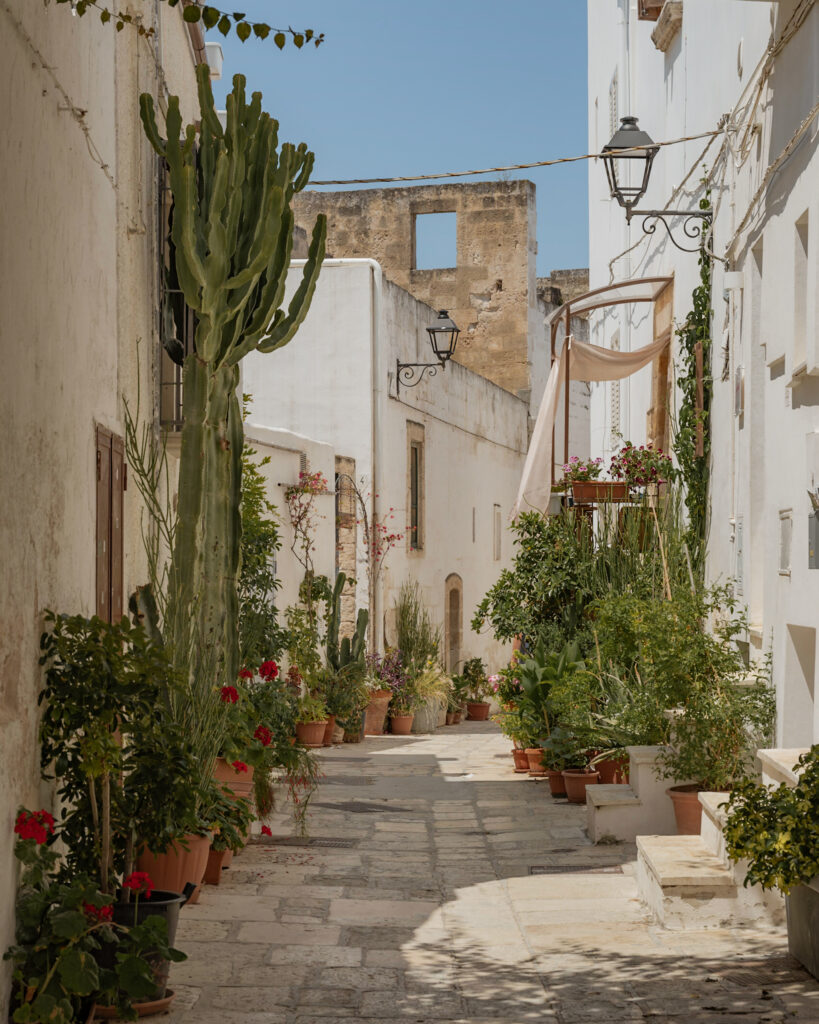 Puglia Itinerary: a quiet alley lined with plants.